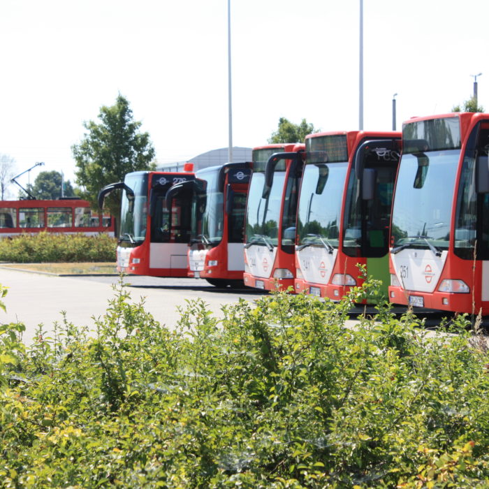 Bild Busse